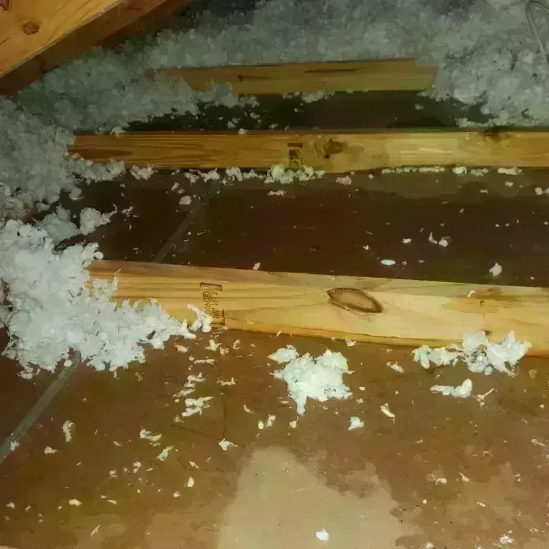 Attic Water Damage in Geronimo, TX