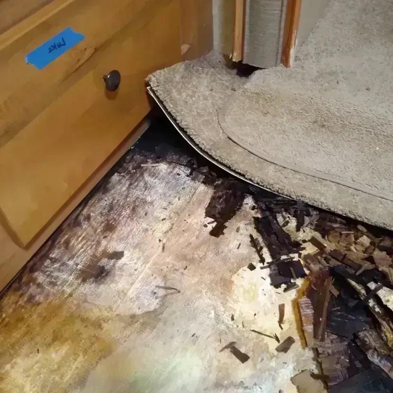 Wood Floor Water Damage in Geronimo, TX